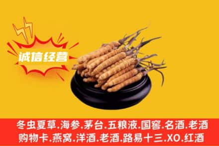 聊城临清市回收冬虫夏草